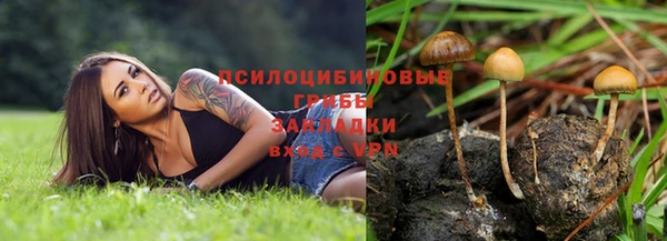 шишки Красноперекопск