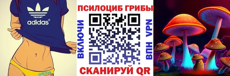 shop клад  Горячеводский  Псилоцибиновые грибы Magic Shrooms 